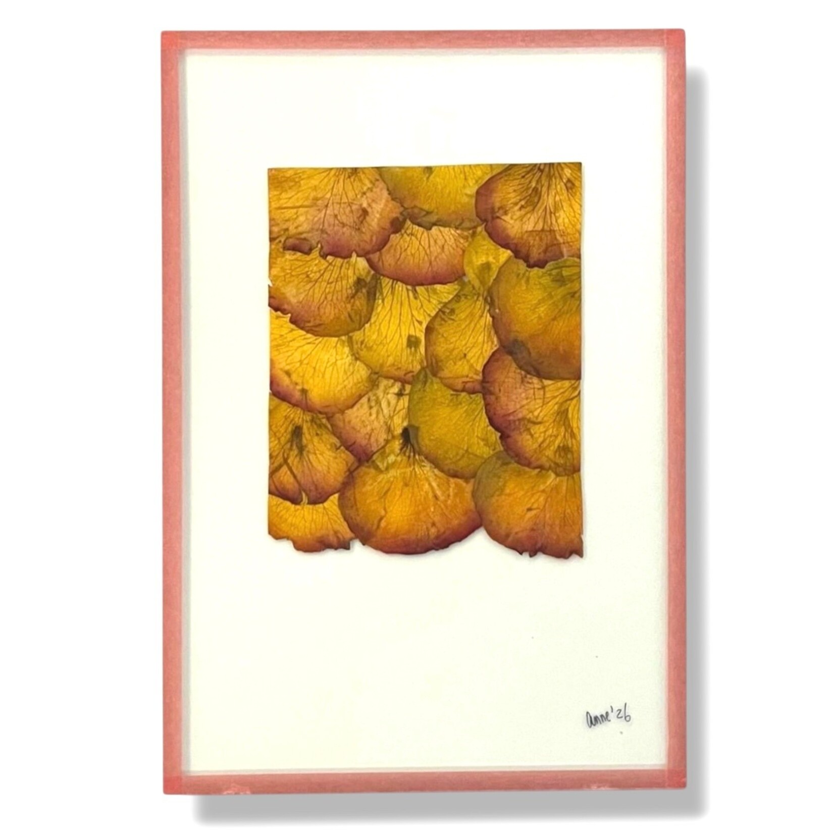 Anne Spies Natuurlijstje van Anne (div. soorten en prijzen)