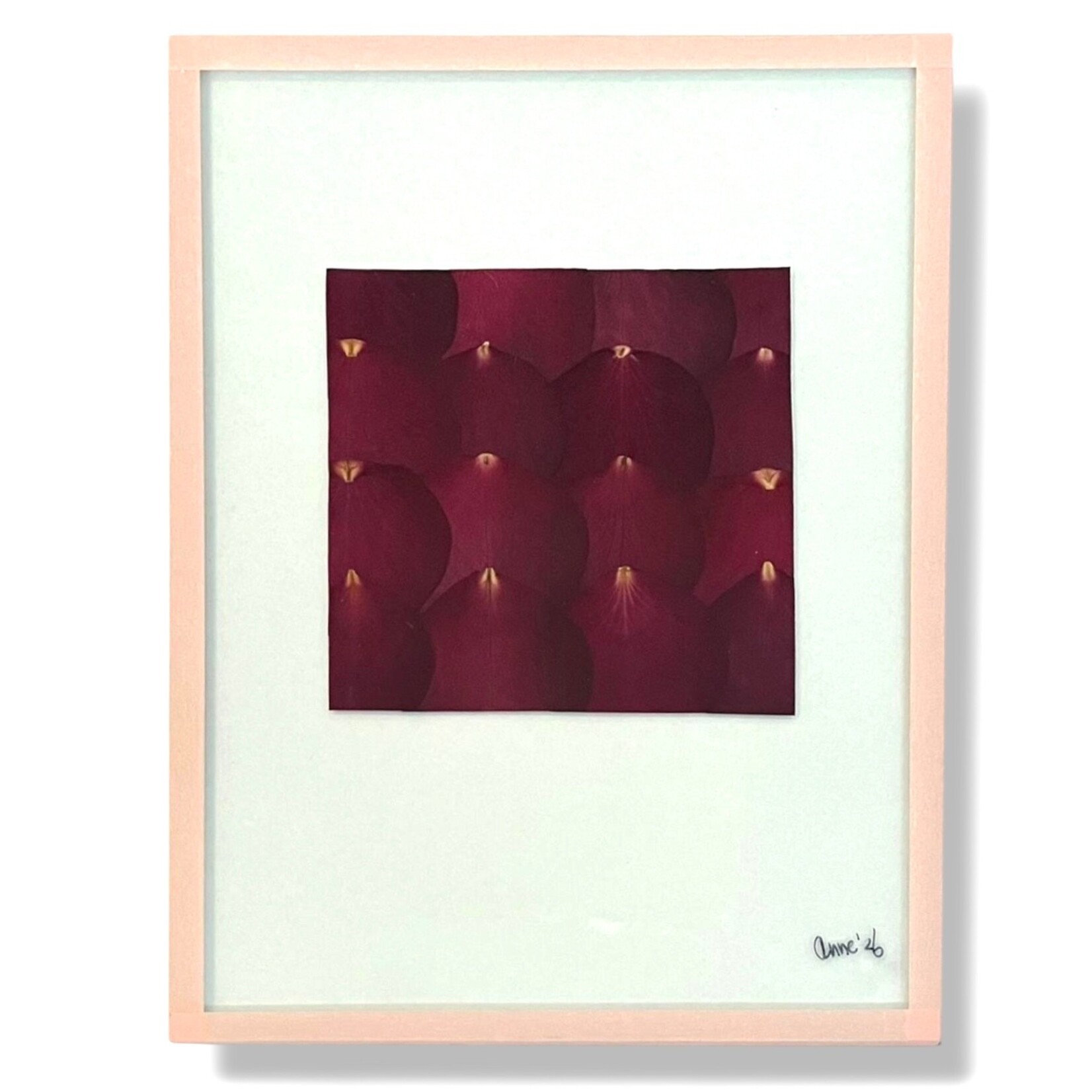 Anne Spies Natuurlijstje van Anne (div. soorten en prijzen)