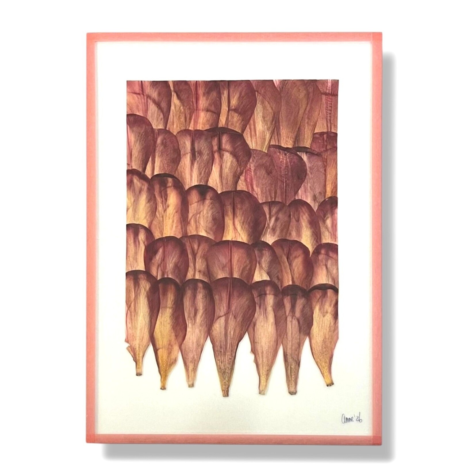 Anne Spies Natuurlijstje van Anne (div. soorten en prijzen)