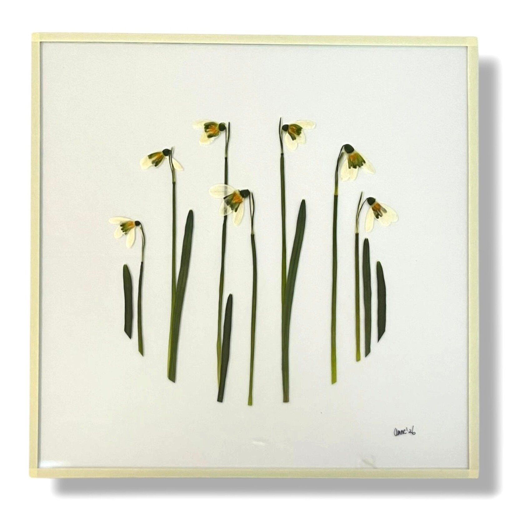 Anne Spies Natuurlijstje van Anne (div. soorten en prijzen)