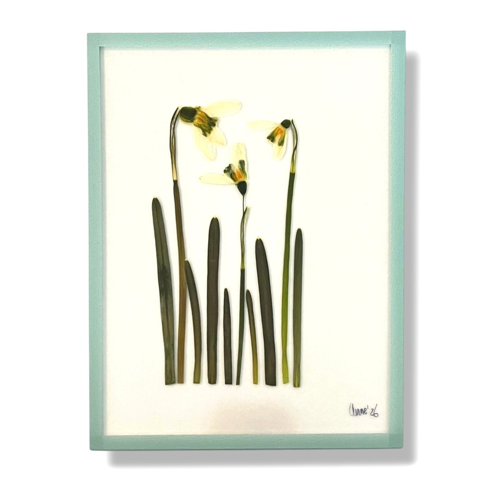 Anne Spies Natuurlijstje van Anne (div. soorten en prijzen)