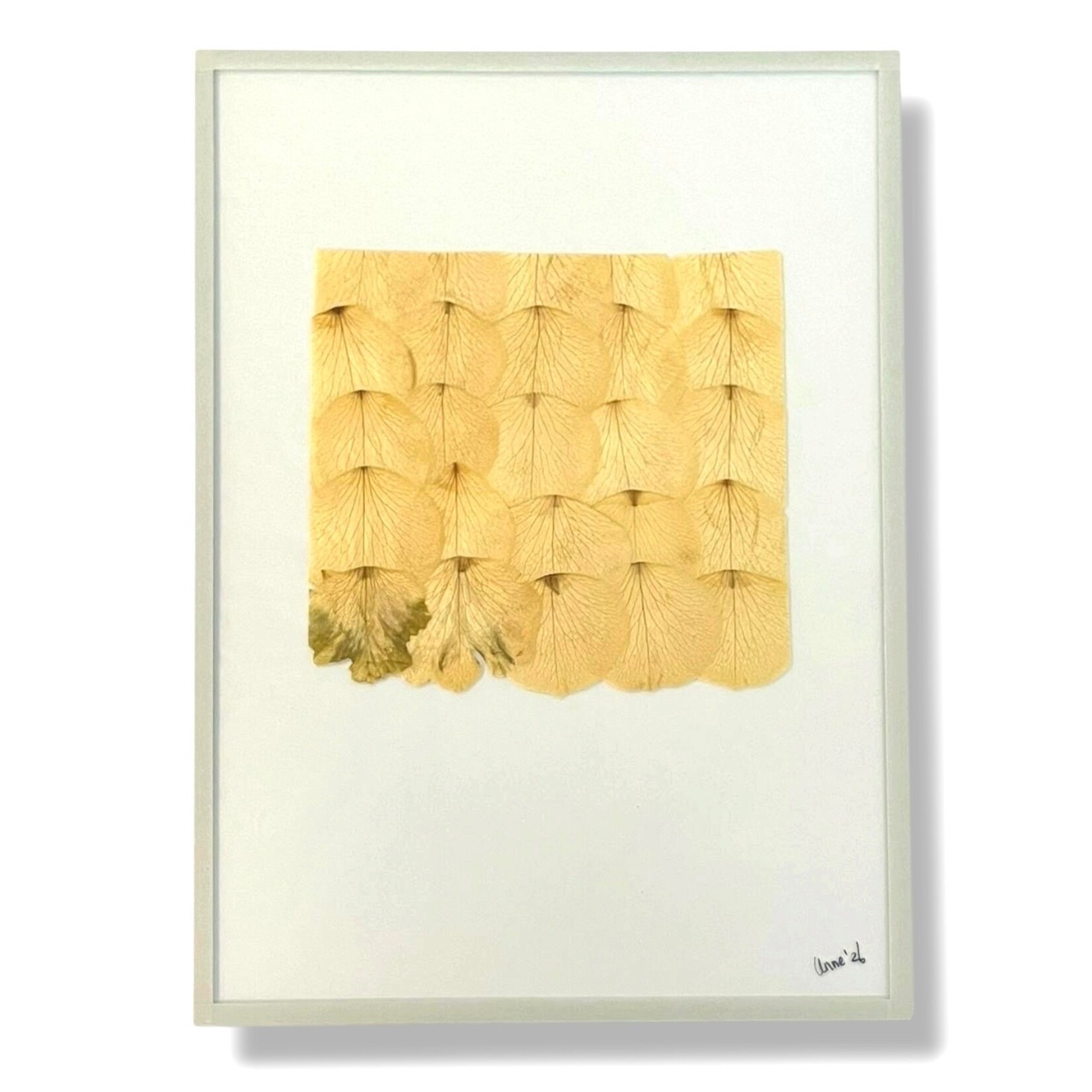 Anne Spies Natuurlijstje van Anne (div. soorten en prijzen)