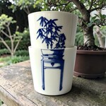 Lilibo Design Lilibo Bonsai Cups set van 2 kopjes (meerdere soorten)