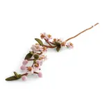 Gry & Sif Gry & Sif Tak met Kersenbloesem