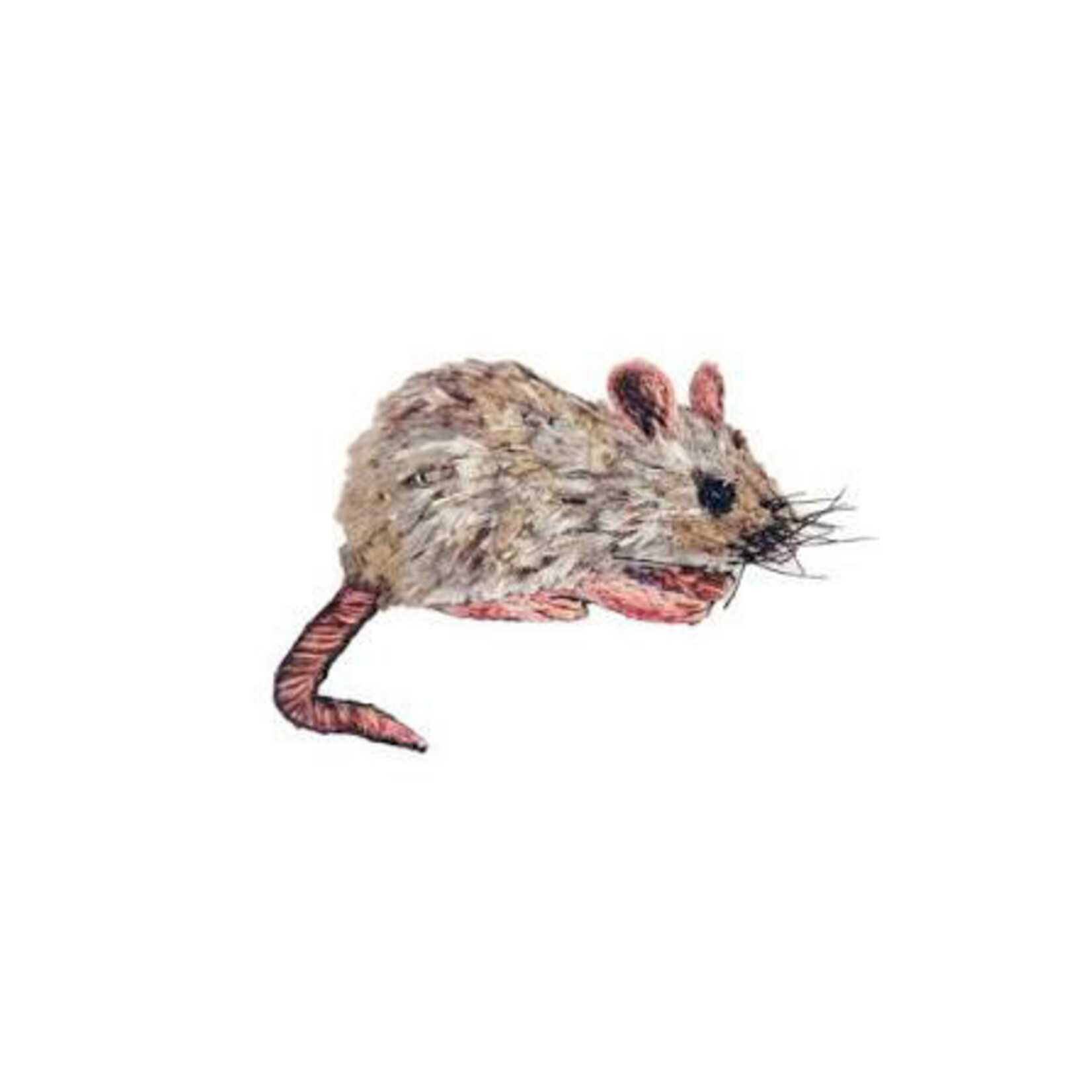 Trovelore Trovelore Broche (meerdere zoogdieren)