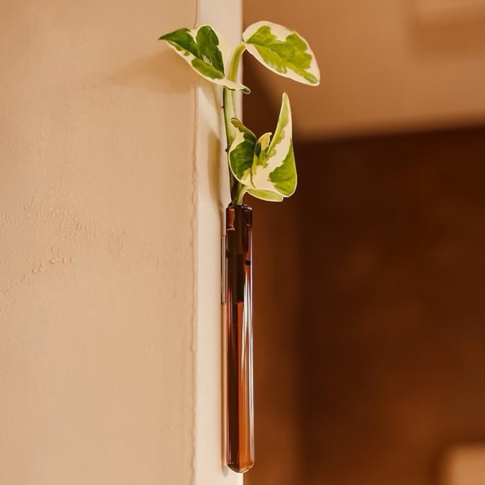 Walleaf Walleaf muurvaasje (6 kleuren)