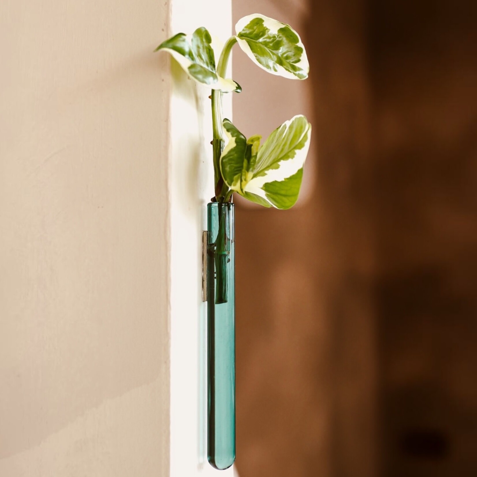 Walleaf Walleaf muurvaasje (6 kleuren)
