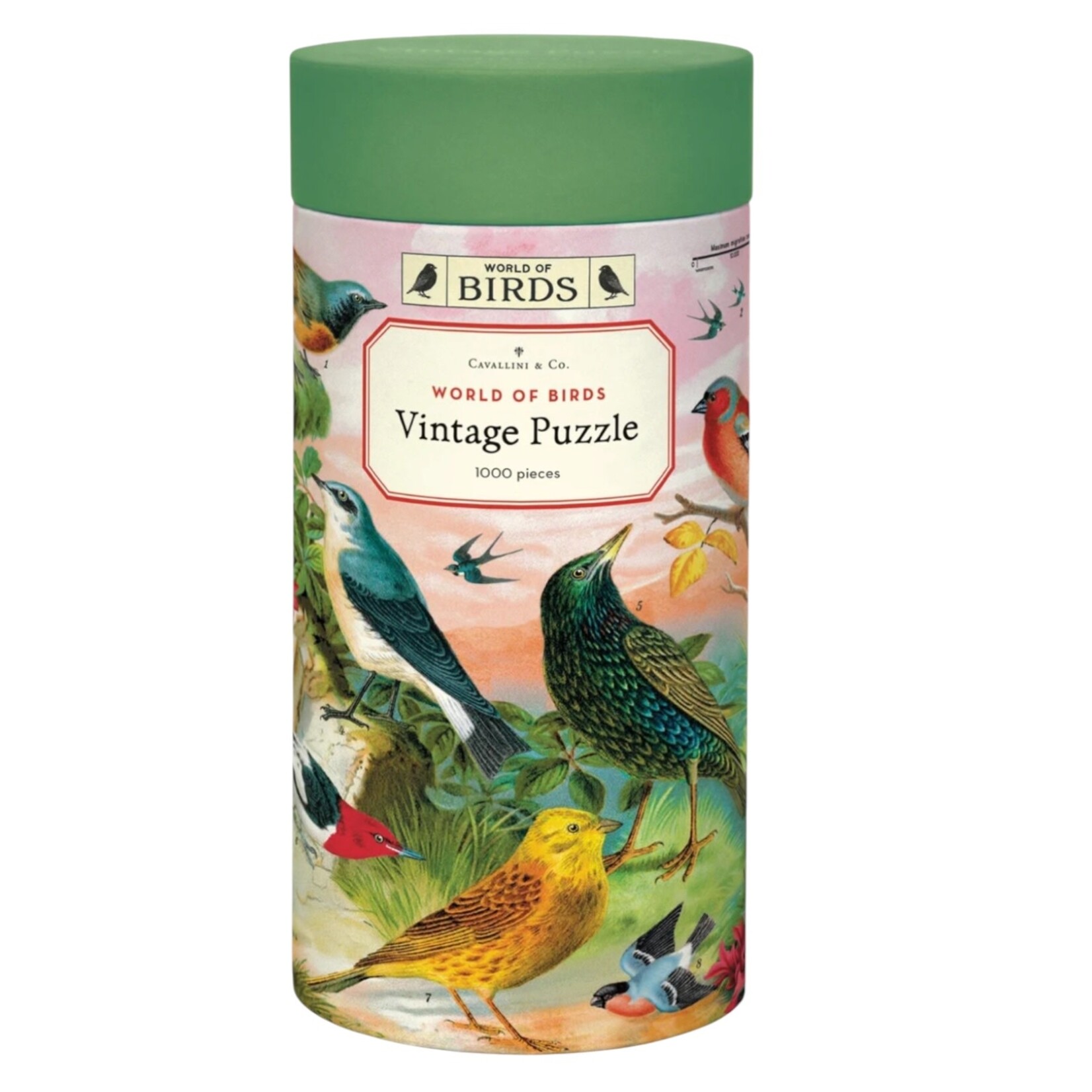 Cavallini & Co. Cavallini vintage puzzel World of Birds