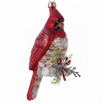 Kurt S. Adler Noble Gems kerstbal Kardinaal vogel (2 soorten)