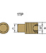 02021TP - Tecnoseal Brass Plug For Caterpillar Pencil Anode 6L2282