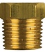 02043TP - Tecnoseal Brass Plug For Cummins Pencil Anode