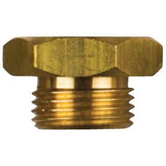 Tecnoseal 02010TP - Tecnoseal Brass Plug For Aifo FPT Iveco Brass Plug for 8105277 Pencil Anodes