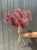 Xanthium Spray