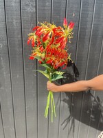 Gloriosa Lilly Spray