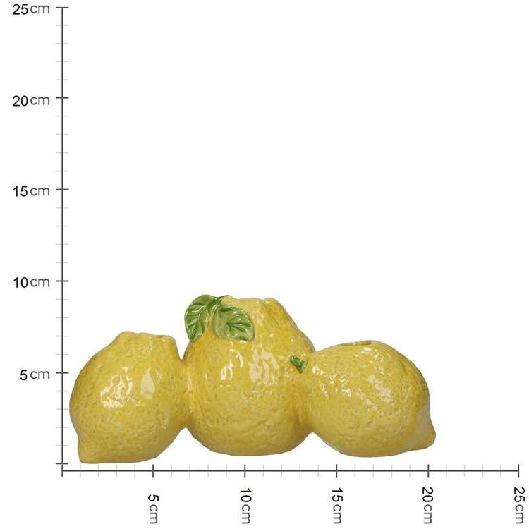 Vaas Citroen Geel 21x11x10cm