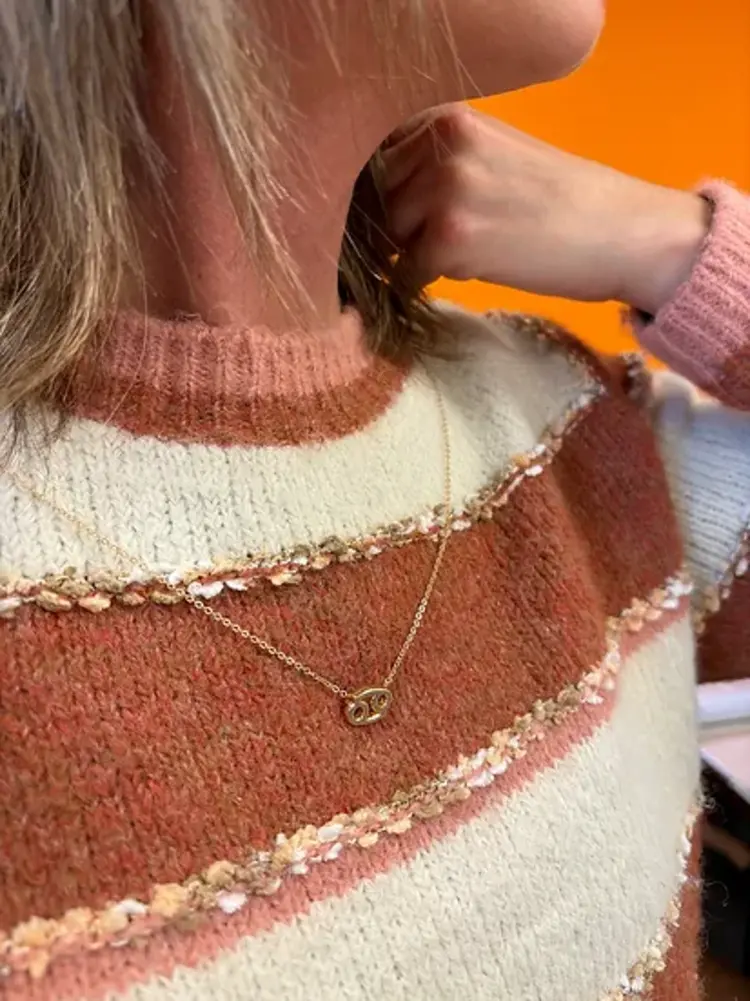 Kreeft Cancer Horoscoop (met Ketting)