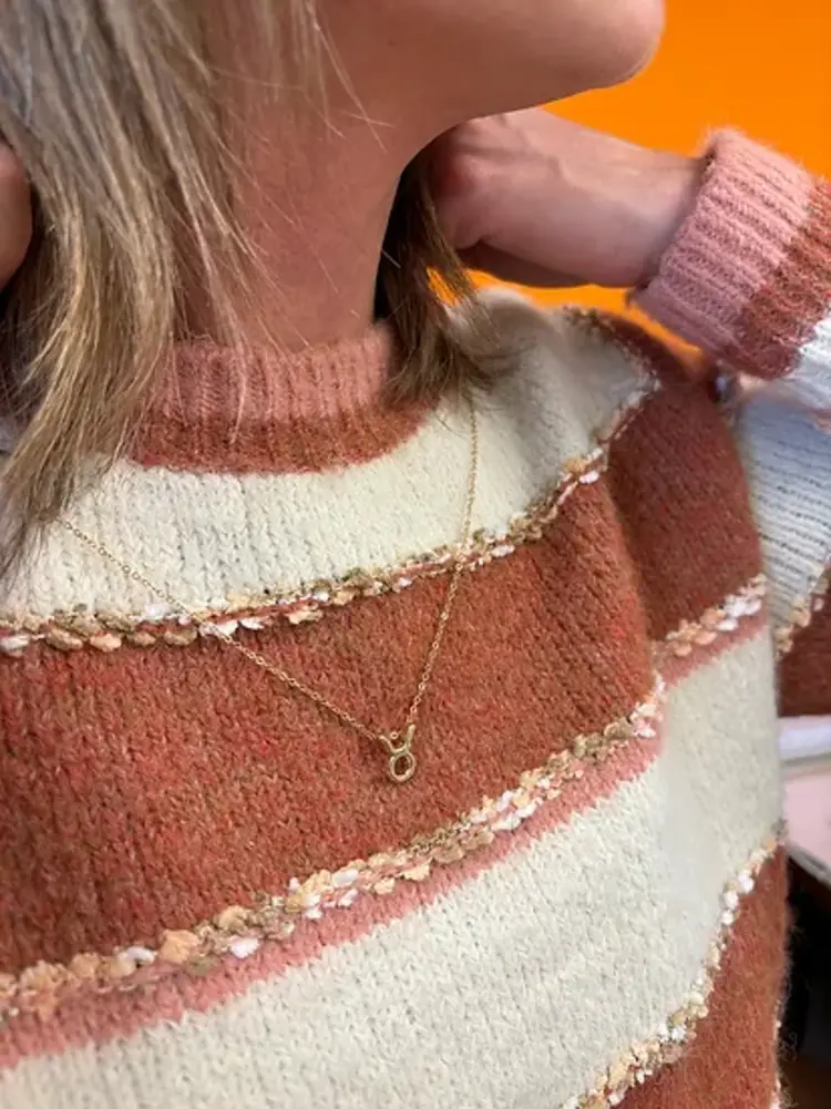 Stier Taurus Horoscoop (met Ketting)