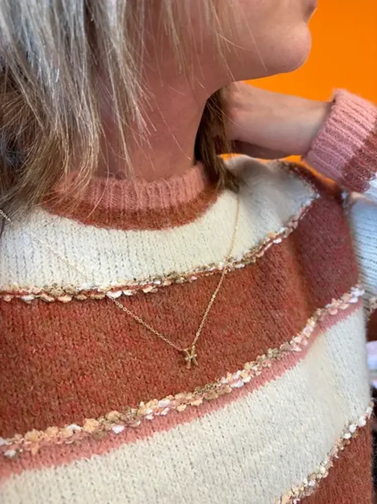 Vissen Pisces Horoscoop (met Ketting)