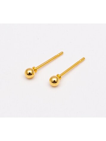 Wauw Jewelery Earrings stainless steel gold