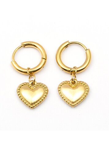Wauw Jewelery Earrings stainless steel gold  - hearts