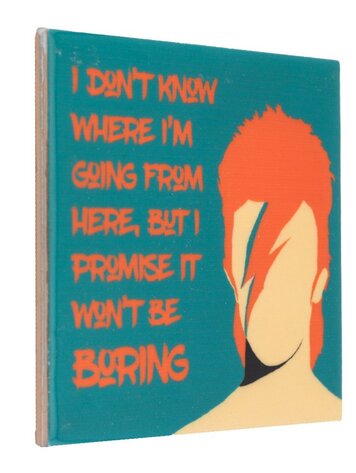 Tegeltje - 'David Bowie'