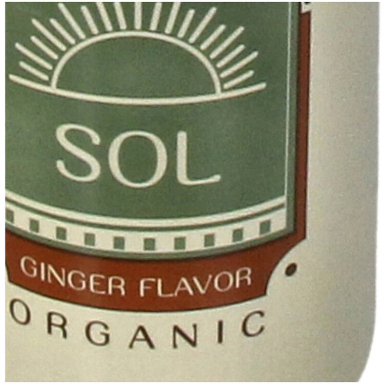 Vase Soda Bottle Sol Fine Earthenware Ivory 6.5x6.5x24cm