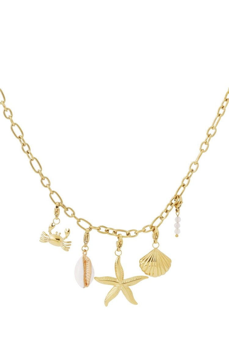 Coastal chic Necklace