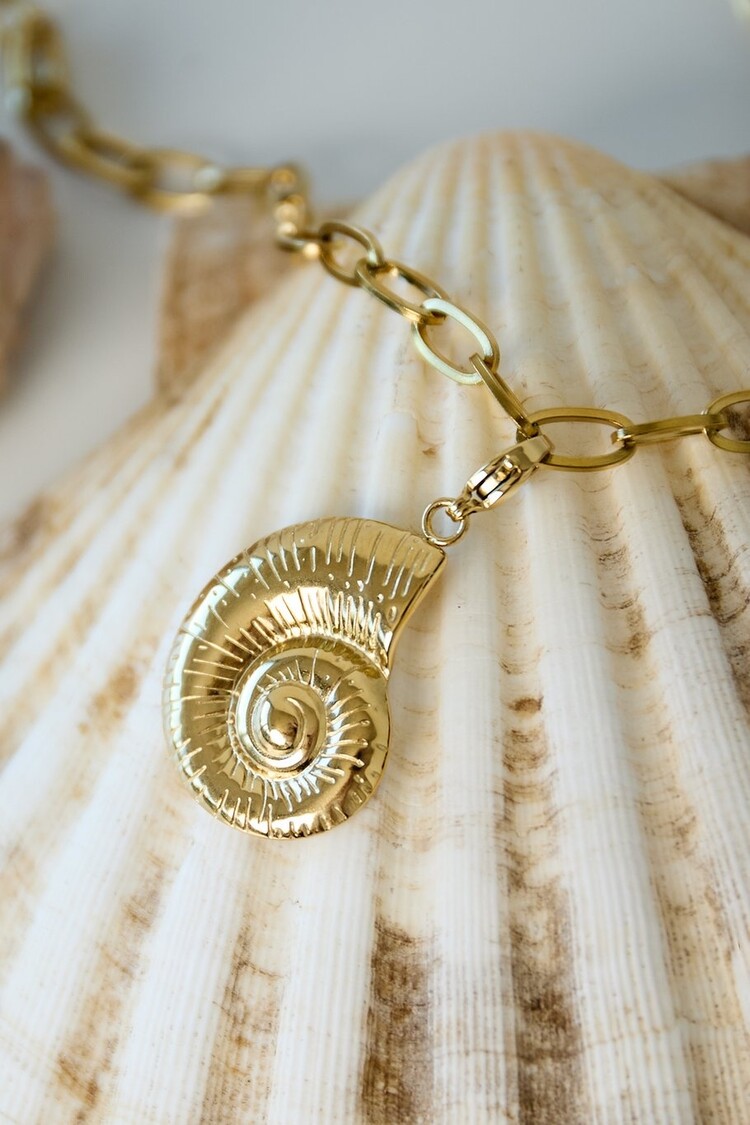 Jewelry Charms Shell