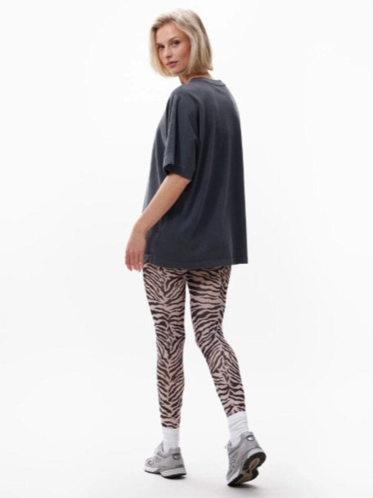 Catwalk Junkie Mesh zebra legging