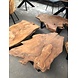 WK Home Salontafel boomstam