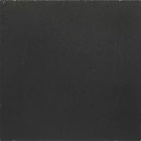 Gervé Beton Tuintegel Excluton 60plus Comfort 100x100x6 Nero