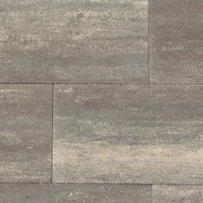 Gervé Beton Tuintegel Excluton 60plus Soft Comfort 40x80x4 cm Grigio