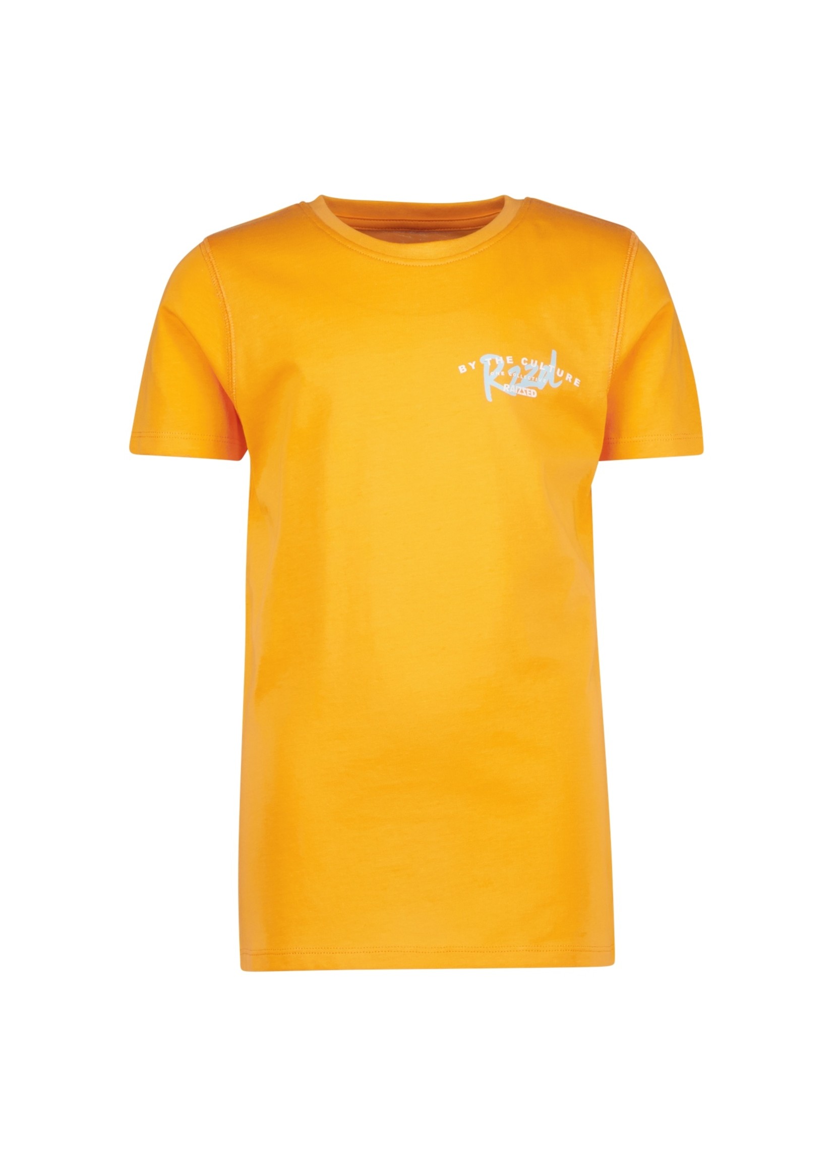 Raizzed T-Shirt Fruit Orange