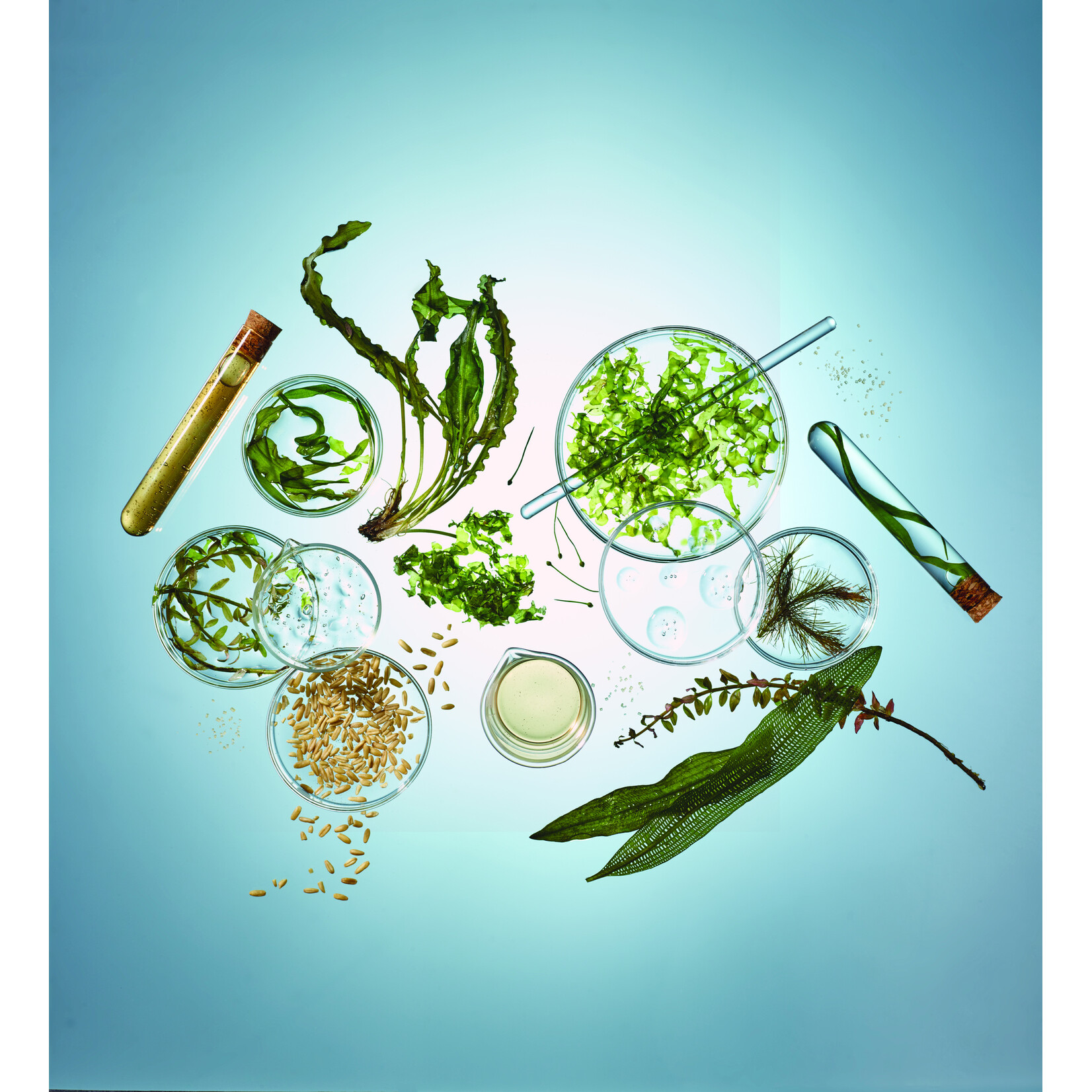 jane iredale BeautyPrep Hyaluronic Serum