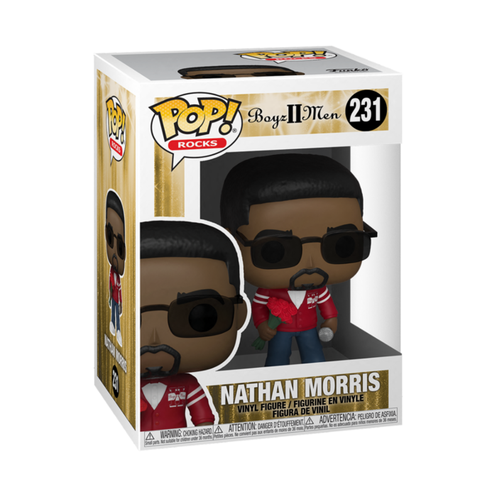 Funko Funko Rocks 231 Nathan Morris  Boys II Men