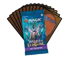 Wizards of the Coast Cards MTG Magic The Gathering Wilds of Eldraine SET Booster Pack