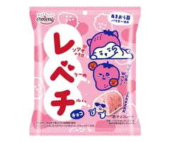 Chocolate Choco Snack Berry 30gr