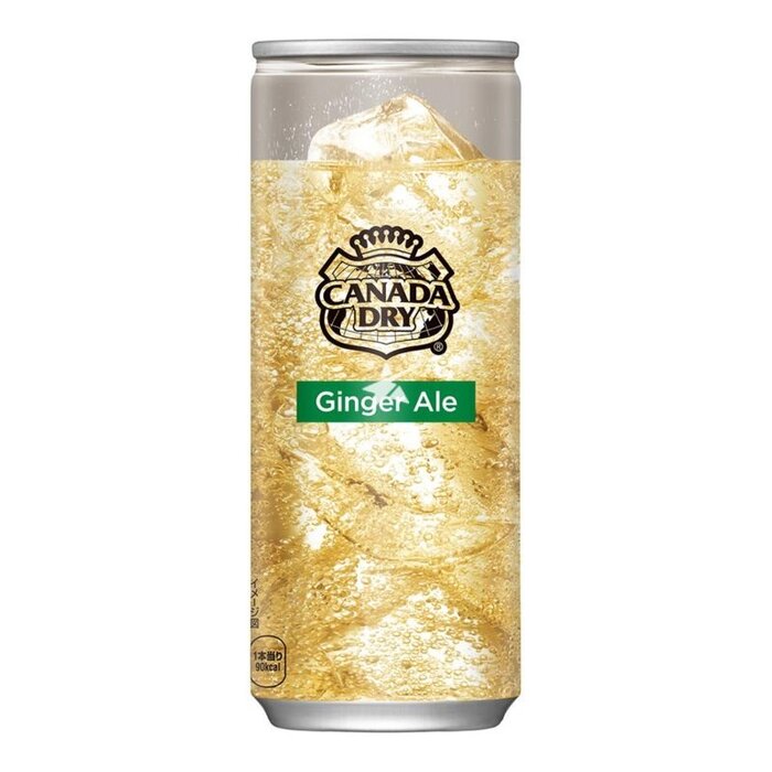 Drink Canada Dry Ginger Ale 300ml