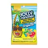 The Hershey Company Candy Jolly Rancher Hard Candy Tropical 198gr