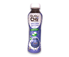 CocoChi Drink CocoChi BlueBerry Juice with Nata de Coco 450ml
