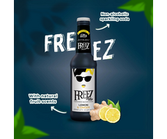Drink Freez Mix Ginger 275ml