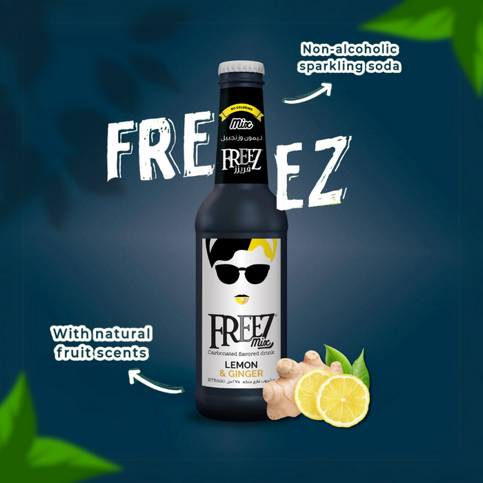 Drink Freez Mix Ginger 275ml