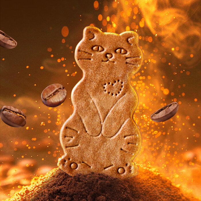 OCOCO Cookies Cat Shaped Coffee Flavor 80gr China
