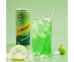 Schweppes Drink Schweppes Melon 250ml