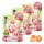 Candy Cokoc Filled Gummies White Peach FI 60gr China