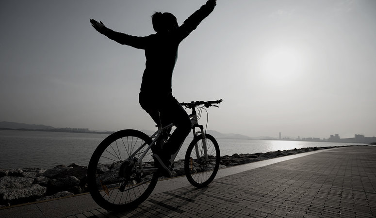 Pellentesque est sem, vulputate vitae orci at.