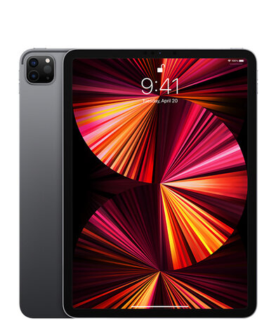 Apple iPad Pro (2021) 11 inch 1TB WIFI