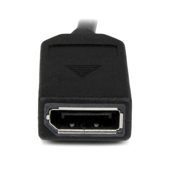 8in DMS-59 to Dual DisplayPort Cable afbeelding