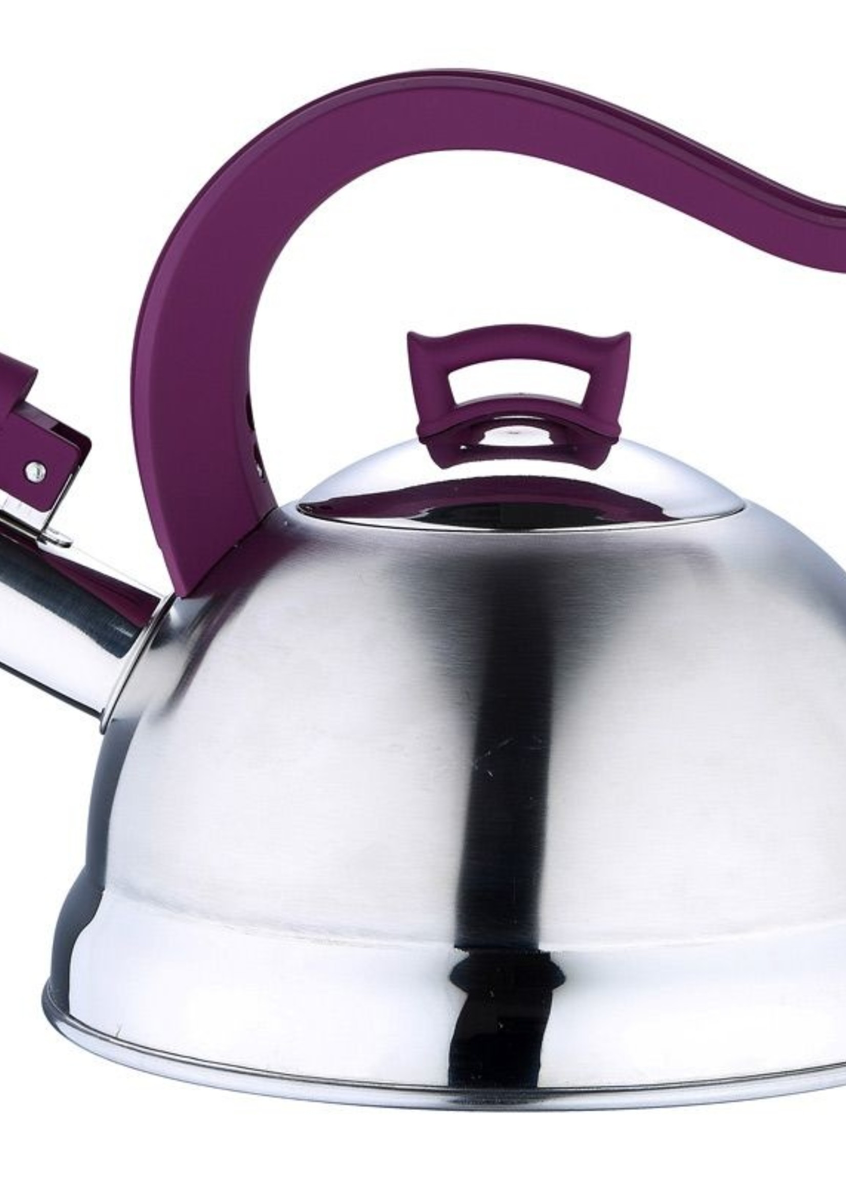 Bergner RVS fluitketel 2.5 liter