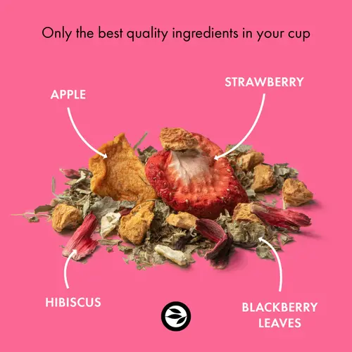 Alveus thee Sweet Berry BIO fruit tea blend, loose tea 100g - Cranberry Strawberry Cream